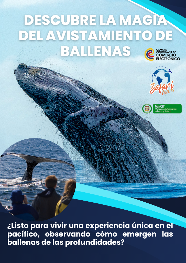 avistamiento de ballenas buenaventura planes