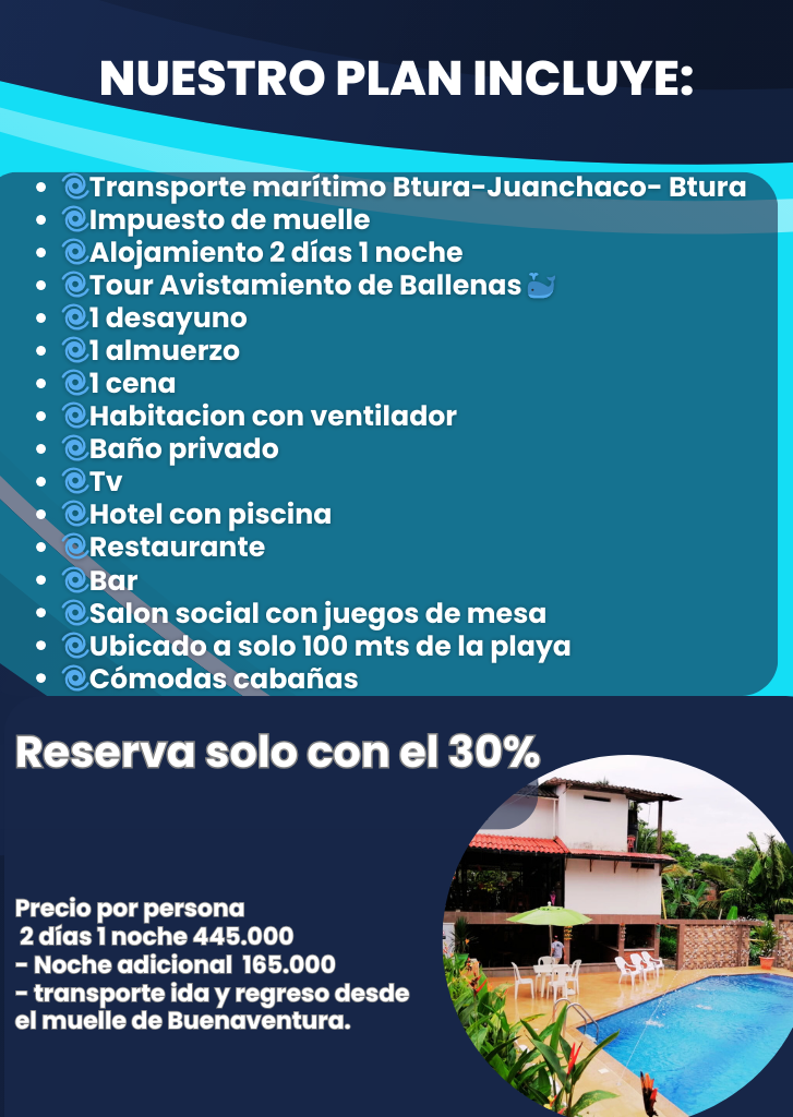 paquete avistamiento de ballenas